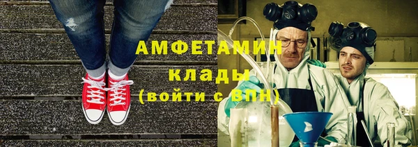 ГАЛЛЮЦИНОГЕННЫЕ ГРИБЫ Михайлов