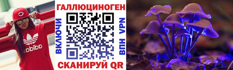 купить  сайты  Калининск  Галлюциногенные грибы MAGIC MUSHROOMS 