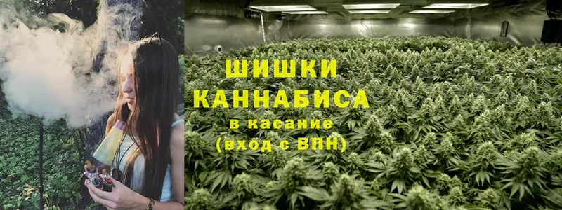 МЕГА ссылка  купить наркотик  Калининск  МАРИХУАНА Bruce Banner 